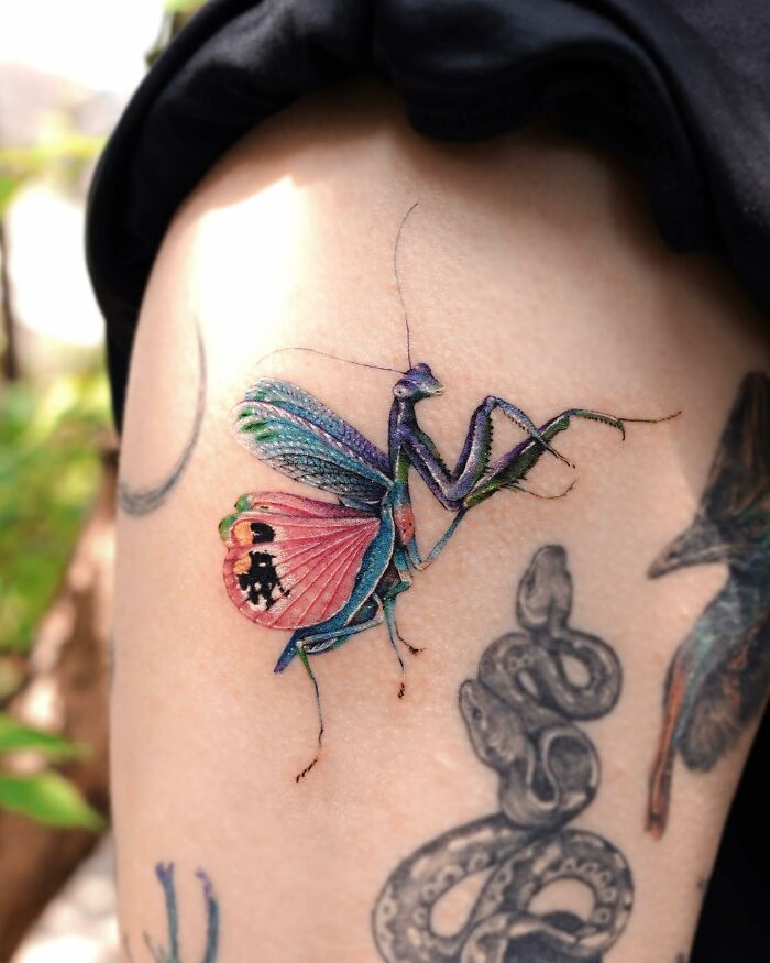 Realistic tattoos depicting a colorful mantis on skin, showcasing intricate artistry and detail.