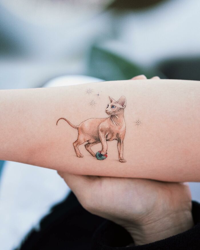 Realistic cat tattoo with fine details on a person's forearm, showcasing the artist's flawless technique.