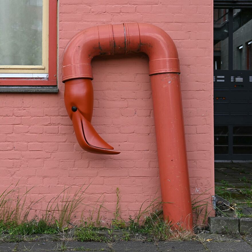 Meet Frankey: The Master Of Surprise In Amsterdam's Streets (New Pics)