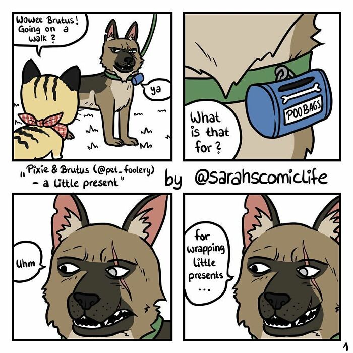 Meet Sarah: The Comic Maestro Spinning Everyday Life Into Laughter