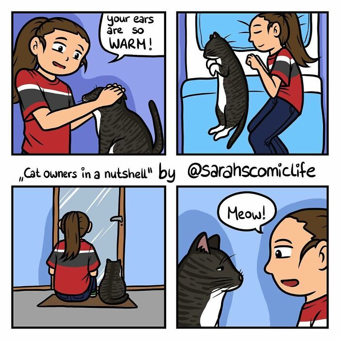 Meet Sarah: The Comic Maestro Spinning Everyday Life Into Laughter