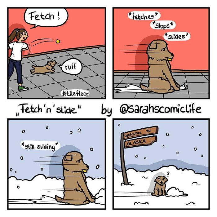 Meet Sarah: The Comic Maestro Spinning Everyday Life Into Laughter