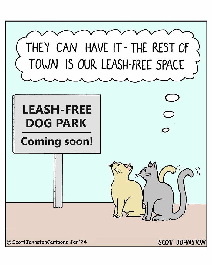 Meet Scott Johnston: The Cartoon Maestro Making Waves In Canadian Humor