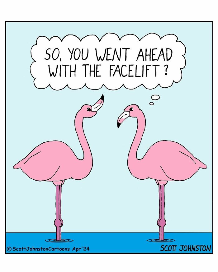 Meet Scott Johnston: The Cartoon Maestro Making Waves In Canadian Humor