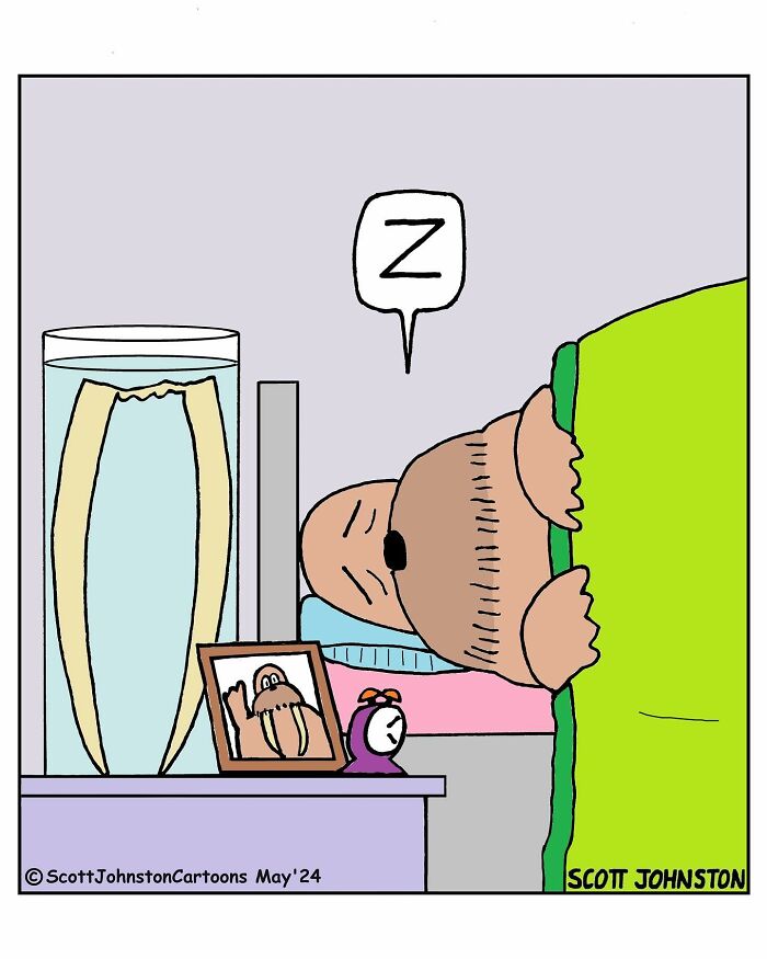 Meet Scott Johnston: The Cartoon Maestro Making Waves In Canadian Humor