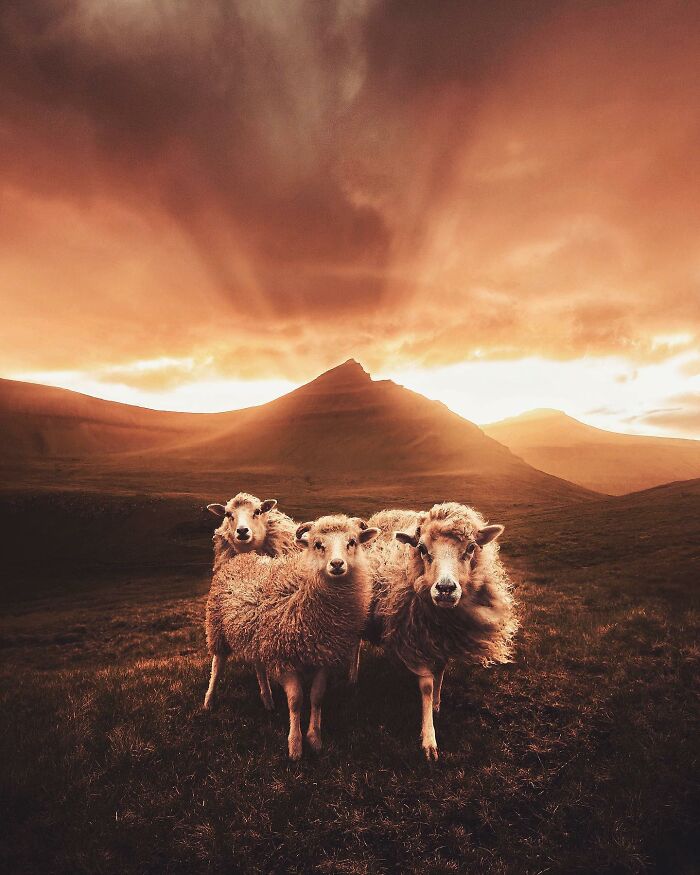 Meet The Mesmerizing Photography Of Juuso Hämäläinen