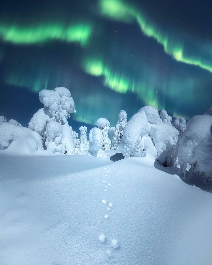 Meet The Mesmerizing Photography Of Juuso Hämäläinen