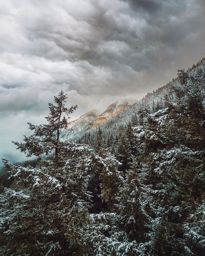 Meet The Mesmerizing Photography Of Juuso Hämäläinen