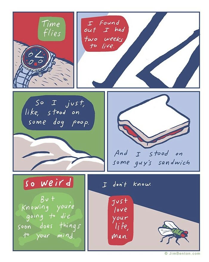 New Comics By Jim Benton Filled With Witty Humor