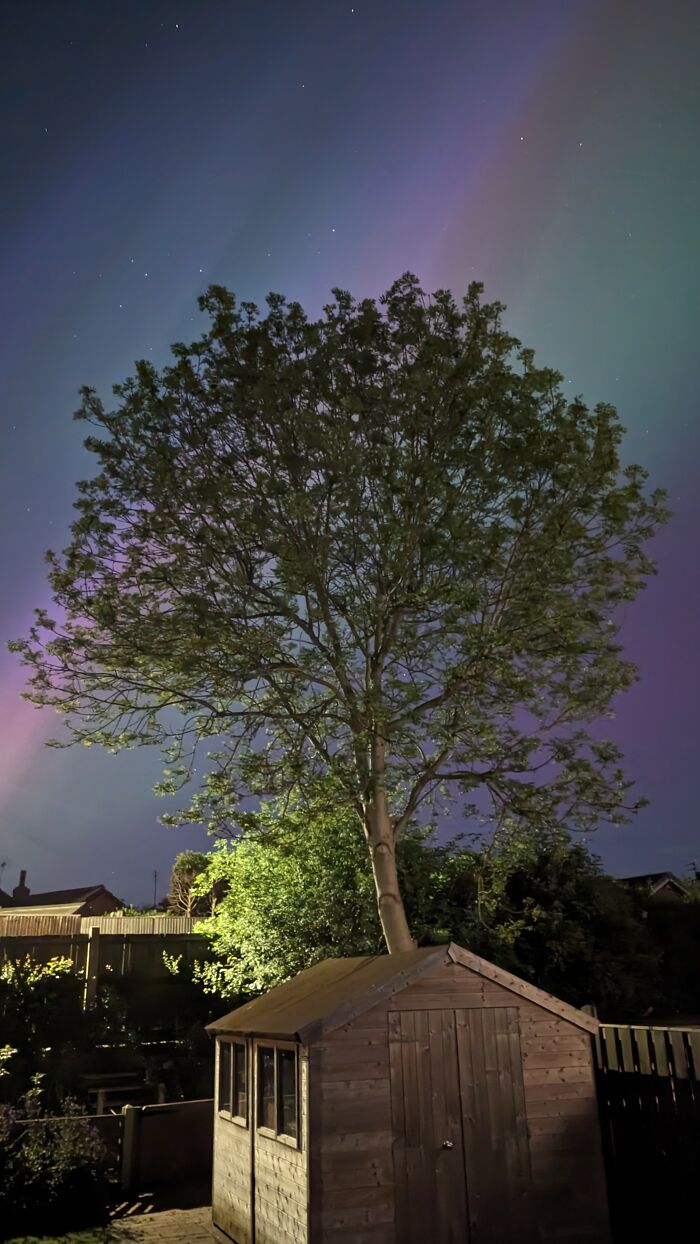 My Garden, Near Worksop, UK