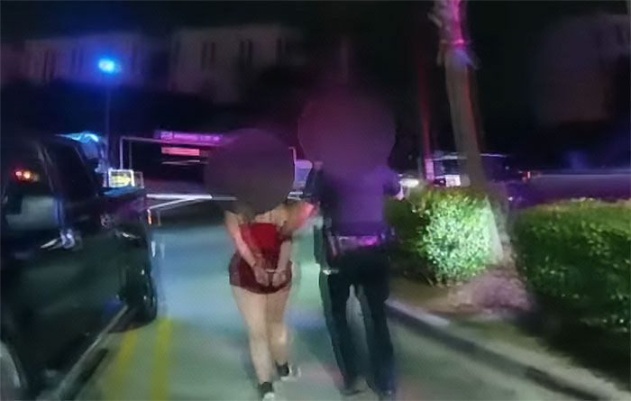 &ldquo;I&rsquo;m Not The Mean One&rdquo;: Cop Resigns After Locking Himself In The Back Of Patrol Car With Detainee