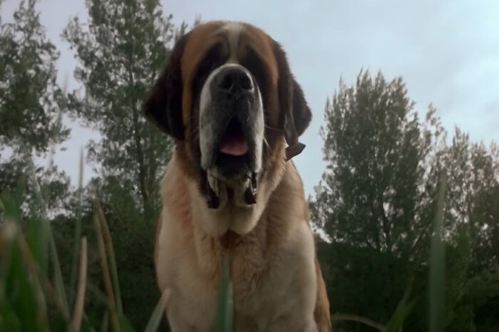 33 Horror Movie Villains People Online Think Are Manageable To Survive With For 24 Hours