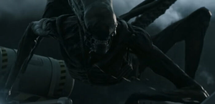 33 Horror Movie Villains People Online Think Are Manageable To Survive With For 24 Hours