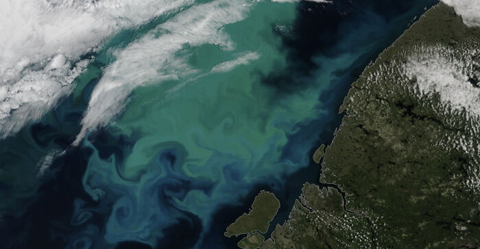 Satellite Remote Sensing Of Ocean Color Gives Critical Insights Into Ecosystem