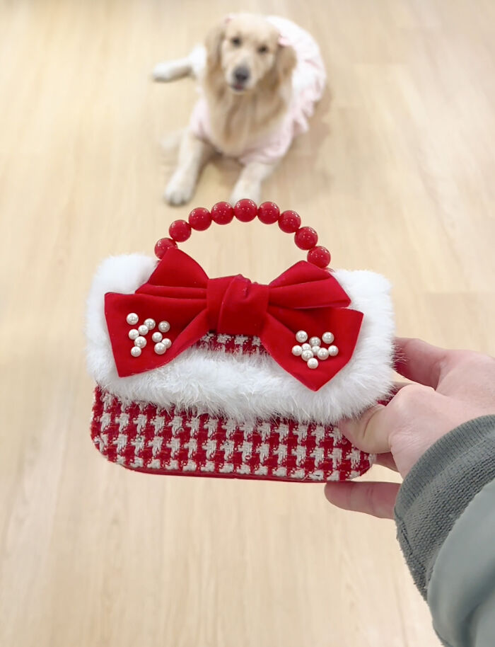 She’s Narcissistic And She’s Happy About It: This Doggo Doesn’t Go Anywhere Without Her Outfit She’s Narcissistic And She’s Happy About It: This Doggo Doesn’t Go Anywhere Without Her Outfit