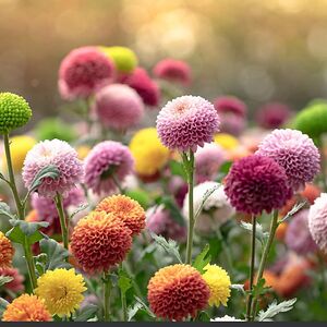 sarahsutton_1 avatar