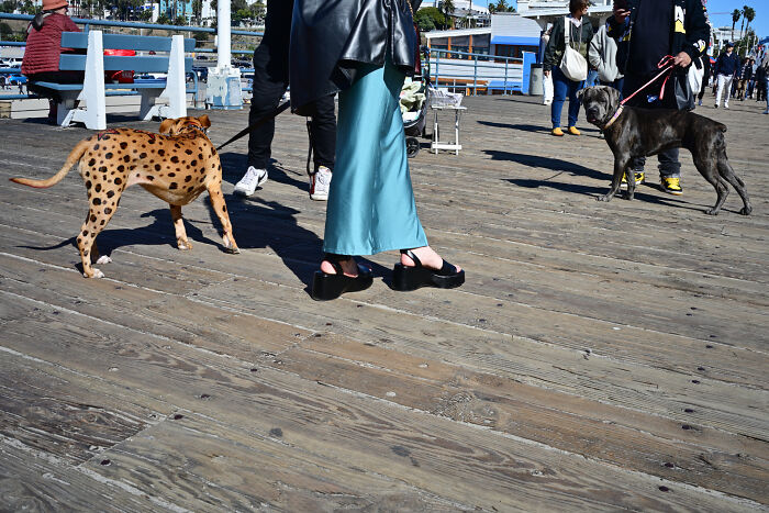 Seeking Hidden Connections: My Candid Exploration Of Street Life