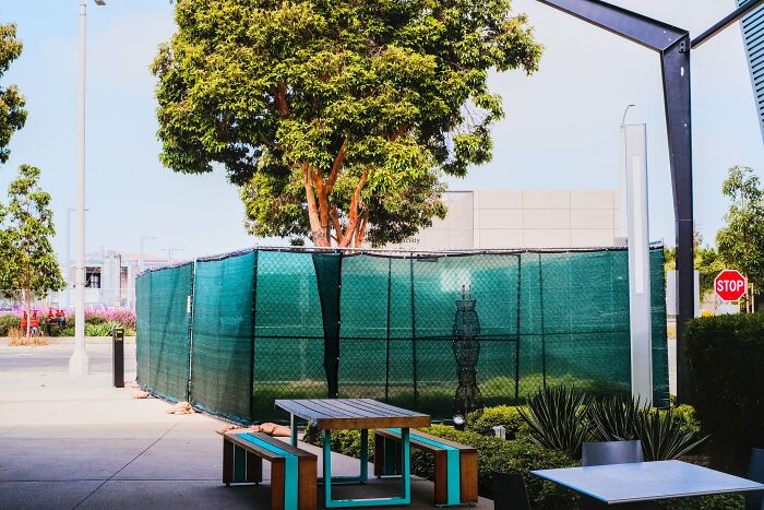 Seeking Hidden Connections: My Candid Exploration Of Street Life