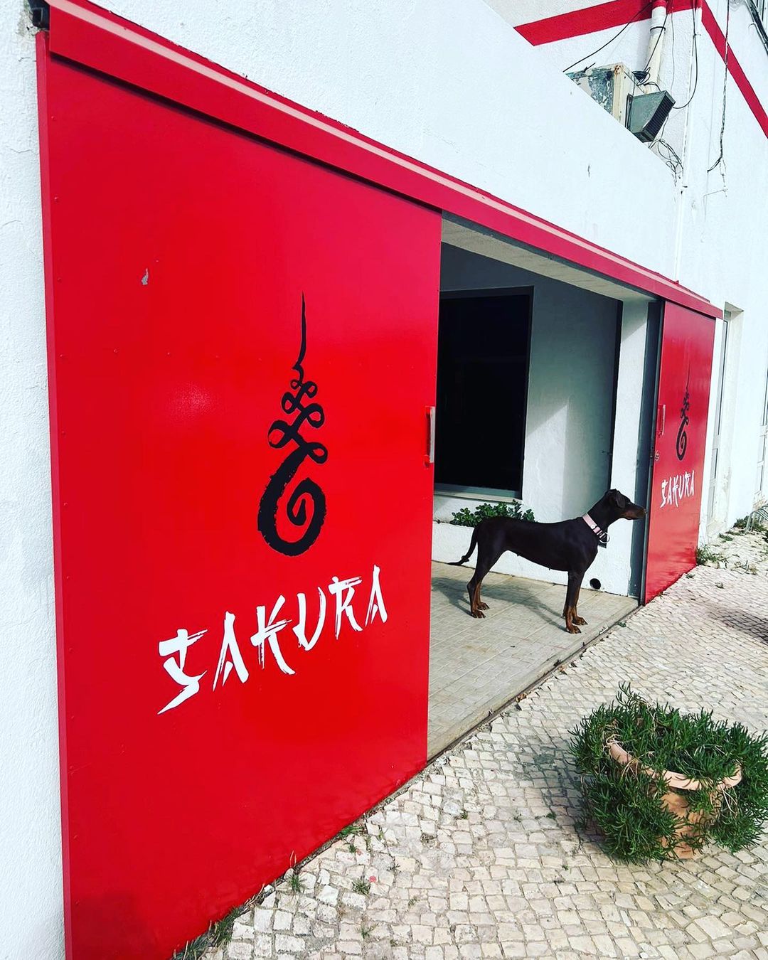 Bailey Greetham-Clark Is Giving Boxing Lessons To The Elderly In Senior Homes Bailey Greetham-Clark Is Giving Boxing Lessons To The Elderly In Senior Homes