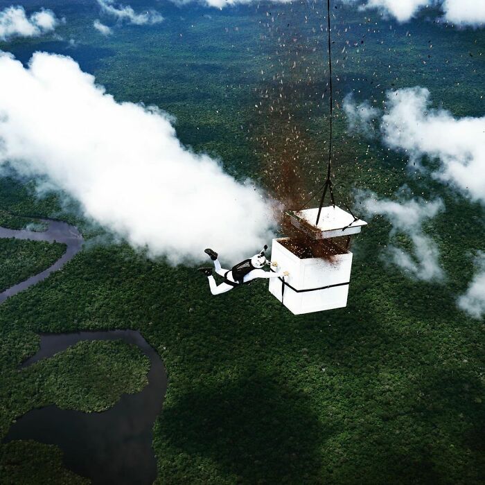 Man Sprinkles 100 Million Seeds Above Amazon Forest From 6,500 Feet Man Sprinkles 100 Million Seeds Above Amazon Forest From 6,500 Feet