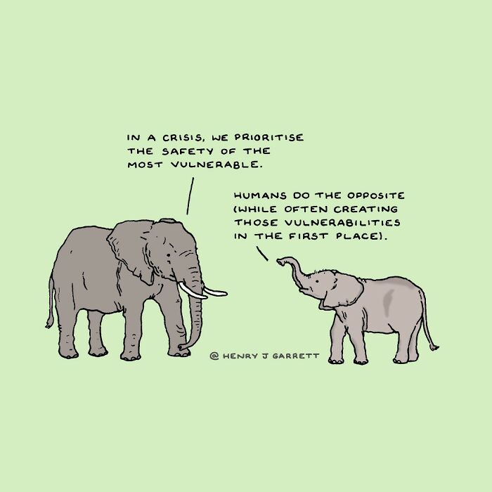 Two elephants discussing social justice themes, emphasizing the safety of the vulnerable.