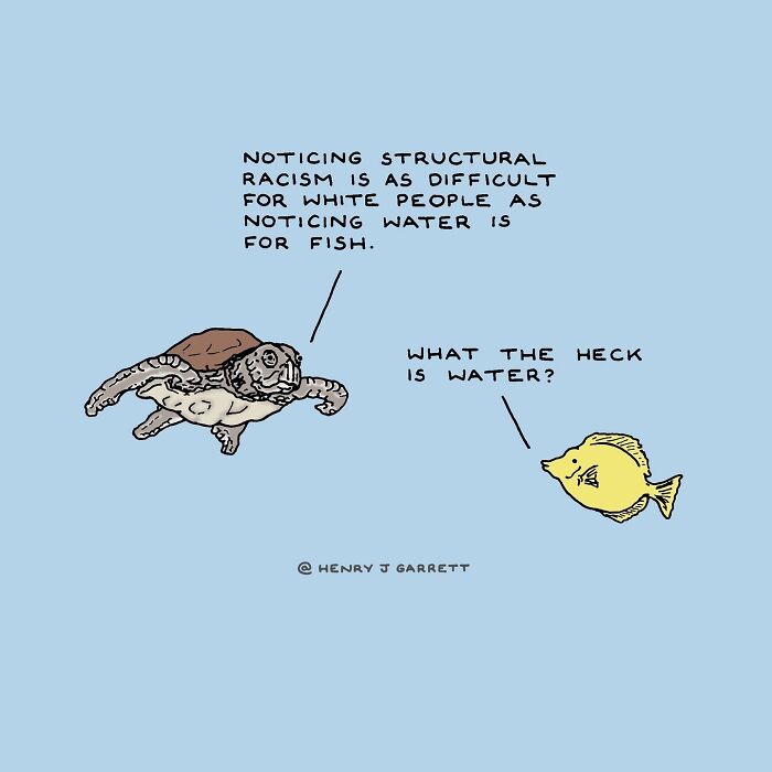 Cartoon turtle and fish discussing structural racism, illustrating social justice themes by Henry James Garrett.