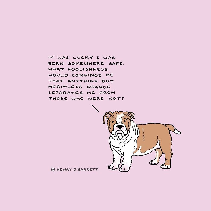 Cartoon of a thoughtful dog reflecting on privilege, illustrating social justice themes by Henry James Garrett.