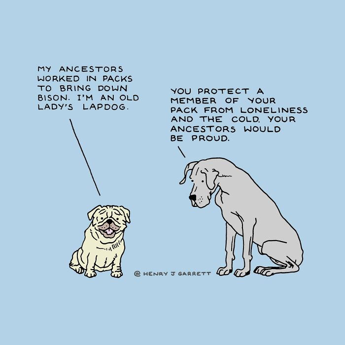 Two dogs discuss their ancestors and social justice roles, with comforting words exchanged between them.