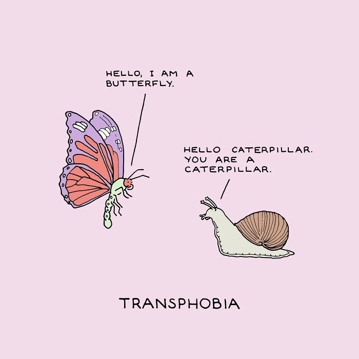 A butterfly and snail discuss identity, illustrating social justice themes.