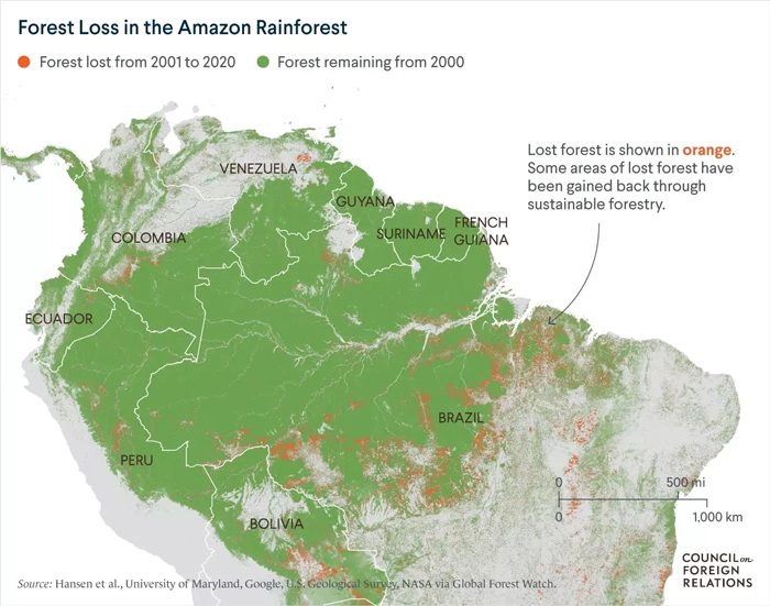 Man Sprinkles 100 Million Seeds Above Amazon Forest From 6,500 Feet Man Sprinkles 100 Million Seeds Above Amazon Forest From 6,500 Feet