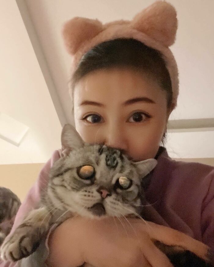 This Adorable, Yet Sad-Looking Cat Outlives Veterinary Predictions, Enjoying Senior Years This Adorable, Yet Sad-Looking Cat Outlives Veterinary Predictions, Enjoying Senior Years