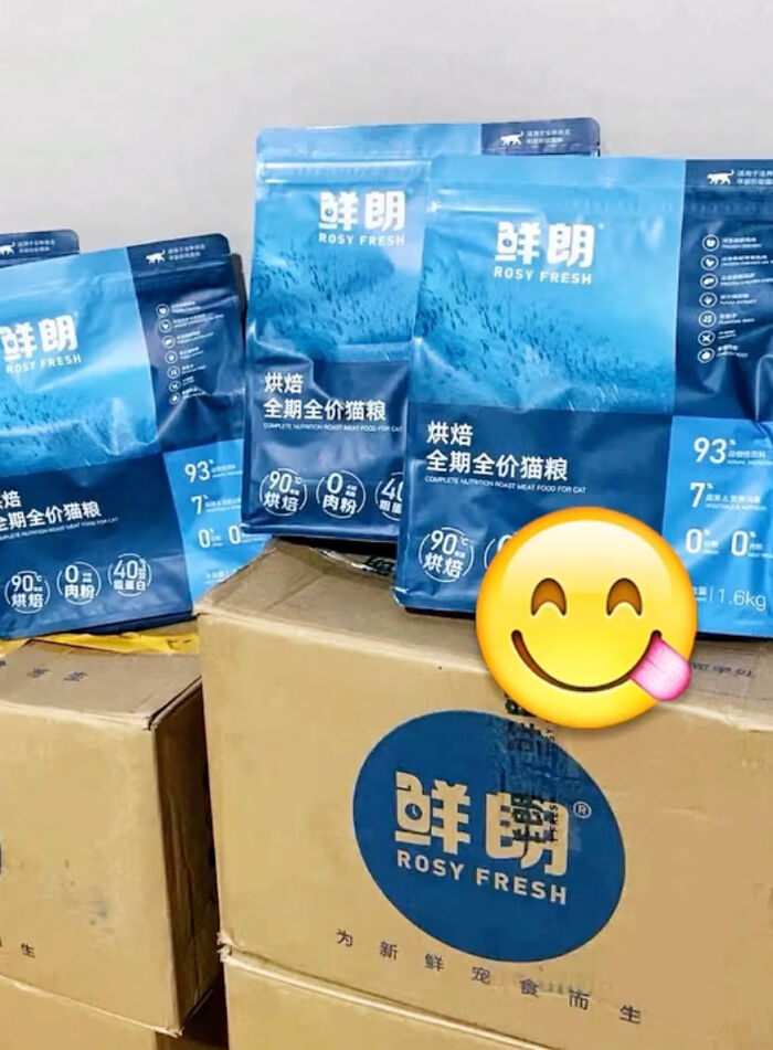 This Adorable, Yet Sad-Looking Cat Outlives Veterinary Predictions, Enjoying Senior Years This Adorable, Yet Sad-Looking Cat Outlives Veterinary Predictions, Enjoying Senior Years