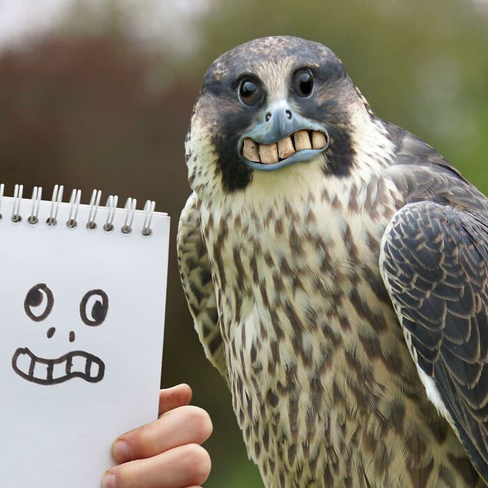 This Guy Continues To Turn Children's Drawings Into Reality (New Pics)
