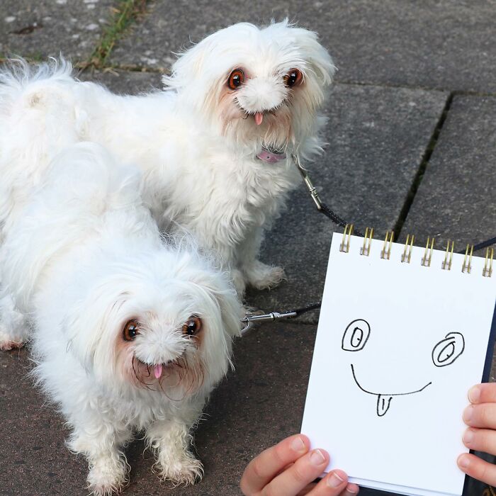 This Guy Continues To Turn Children's Drawings Into Reality (New Pics)