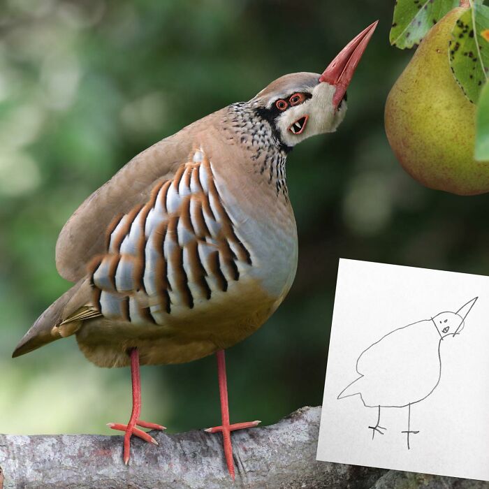 This Guy Continues To Turn Children's Drawings Into Reality (New Pics)