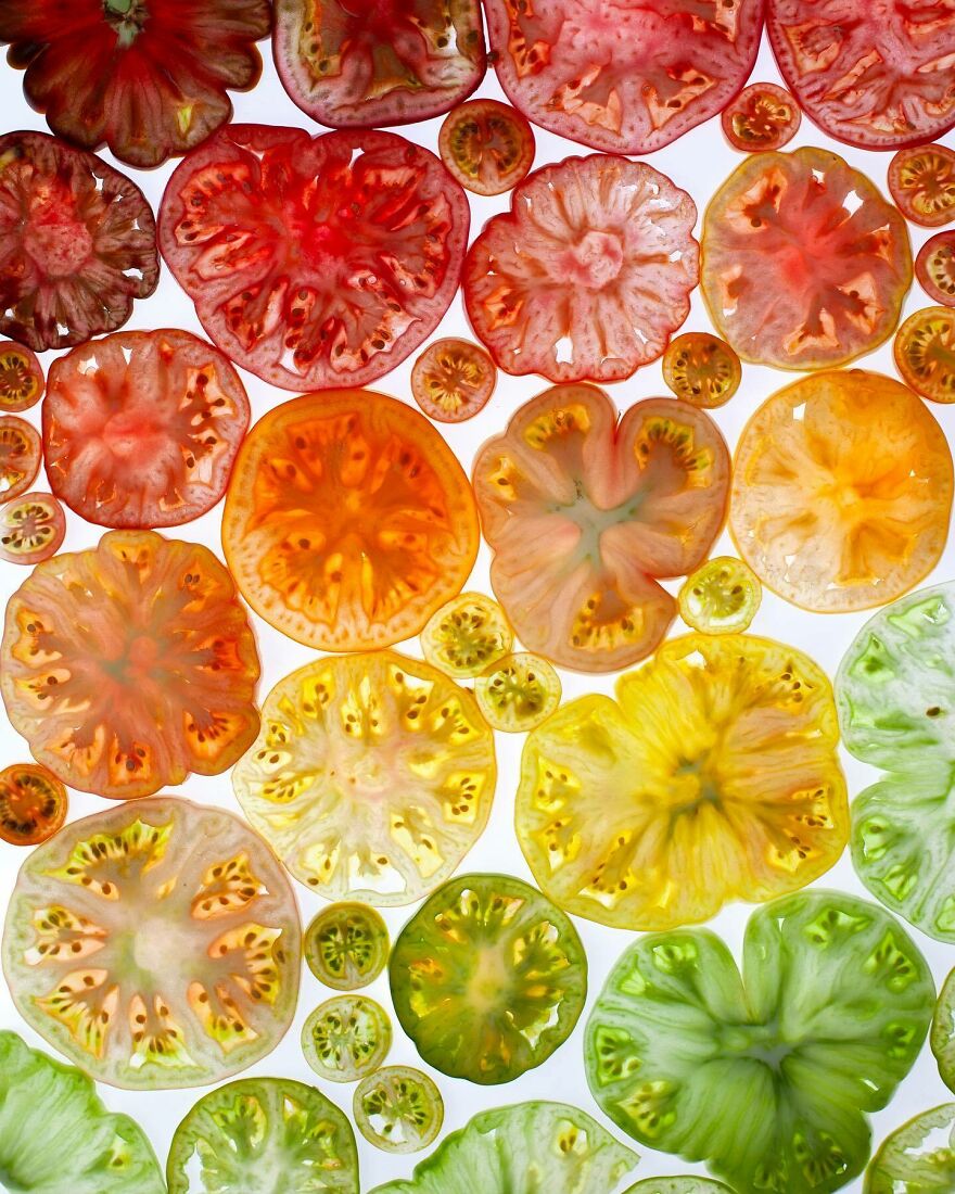 When Food Becomes Art: The Journey Of Photographer Brittany Wright (New Pics)