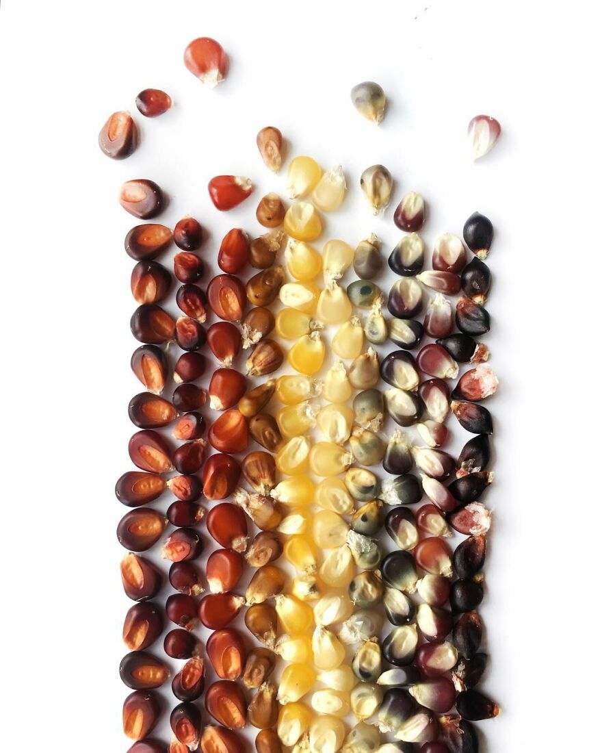 When Food Becomes Art: The Journey Of Photographer Brittany Wright (New Pics)