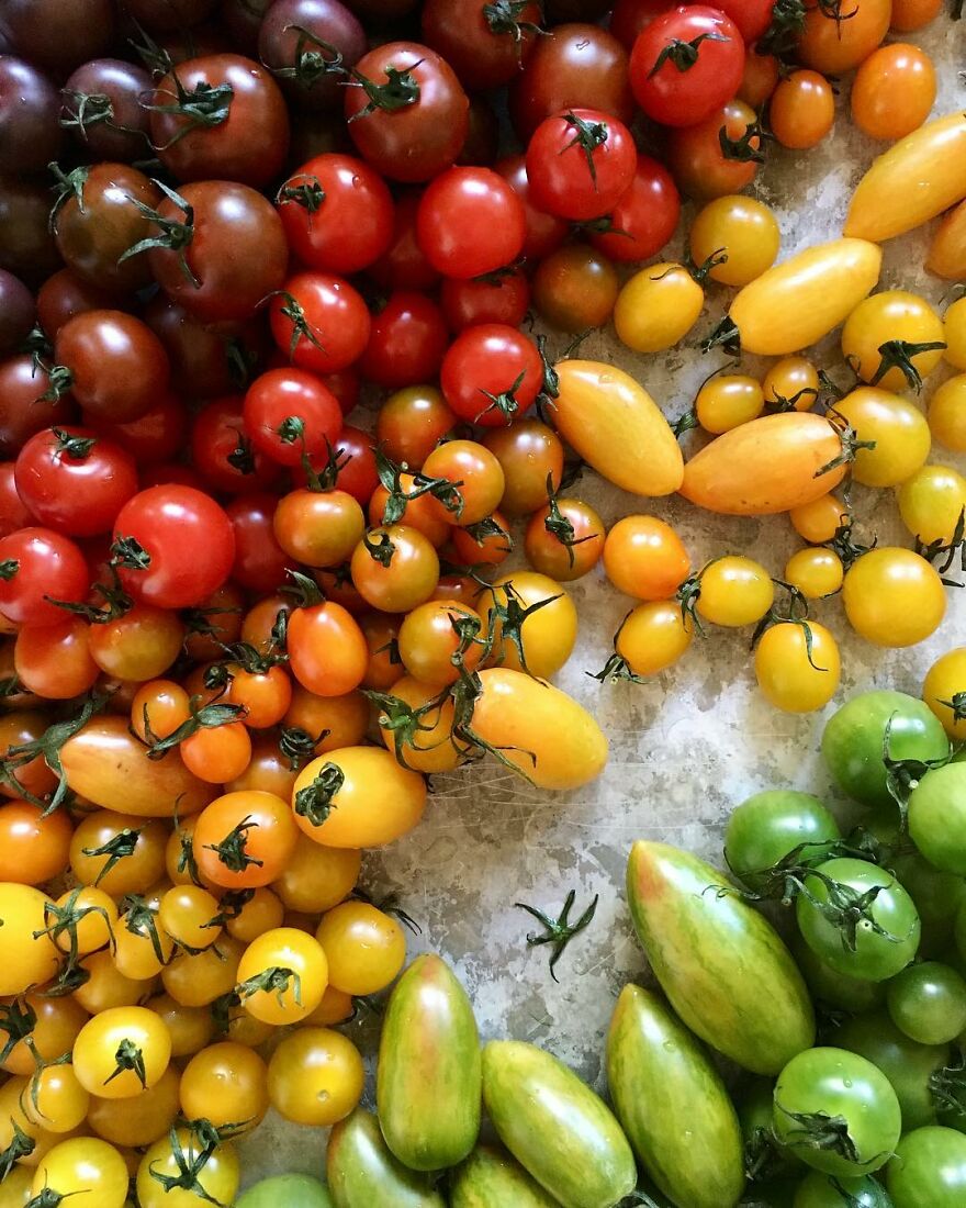 When Food Becomes Art: The Journey Of Photographer Brittany Wright (New Pics)