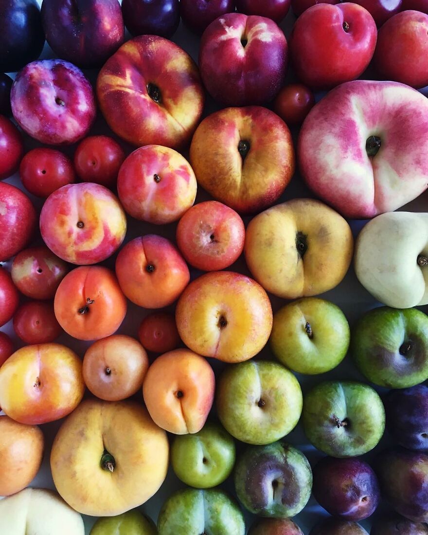 When Food Becomes Art: The Journey Of Photographer Brittany Wright (New Pics)