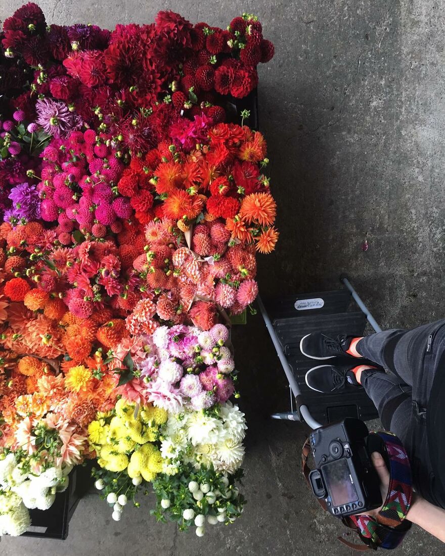 When Food Becomes Art: The Journey Of Photographer Brittany Wright (New Pics)