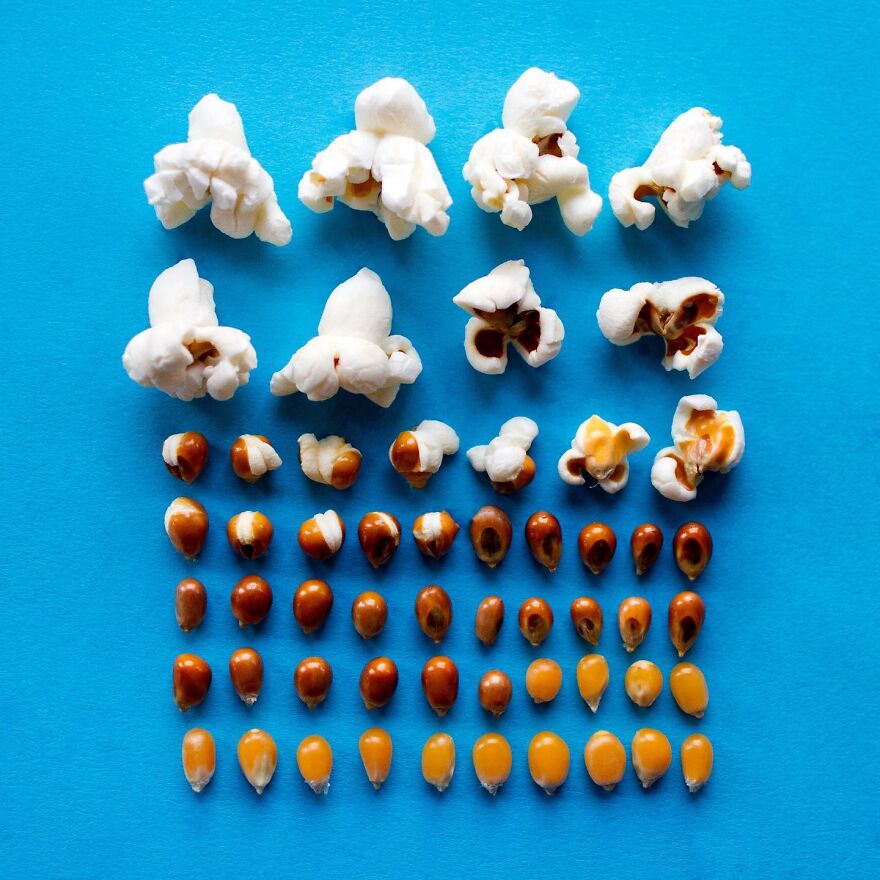 When Food Becomes Art: The Journey Of Photographer Brittany Wright (New Pics)