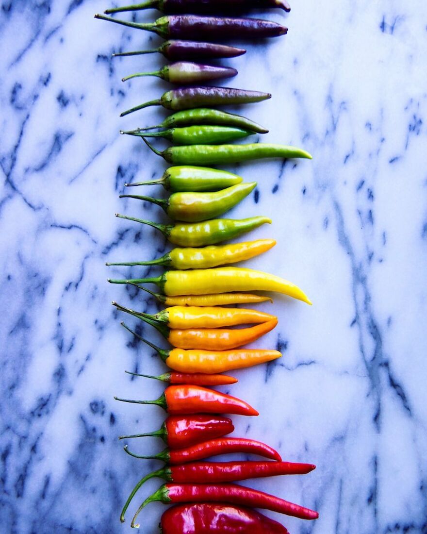 When Food Becomes Art: The Journey Of Photographer Brittany Wright (New Pics)