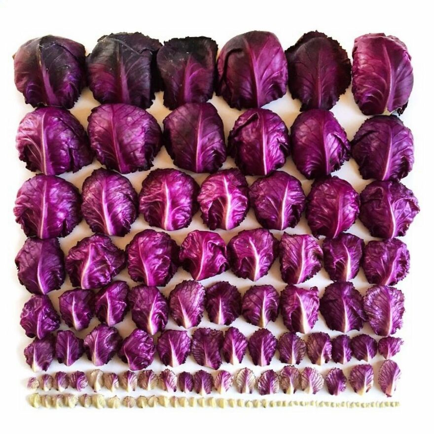 When Food Becomes Art: The Journey Of Photographer Brittany Wright (New Pics)