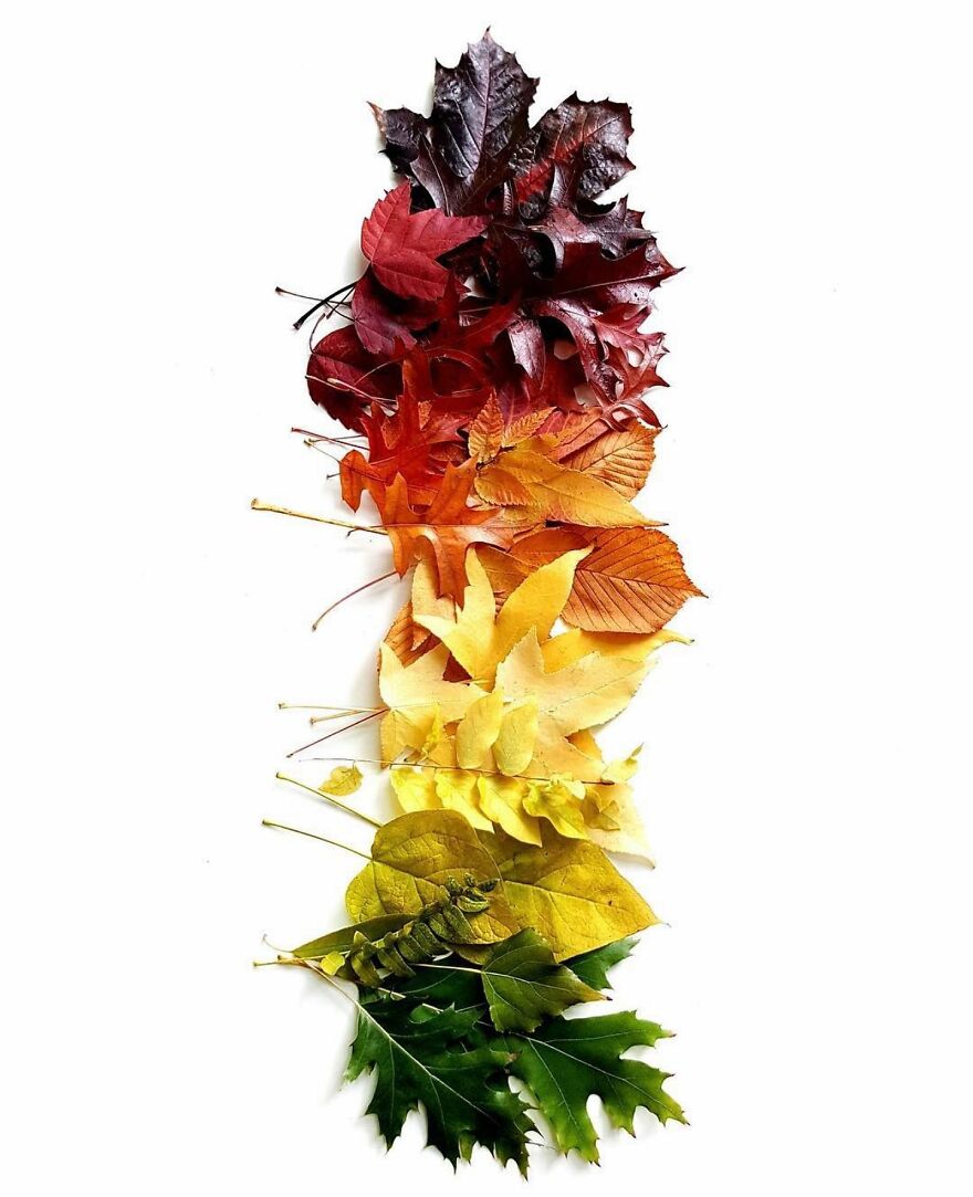 When Food Becomes Art: The Journey Of Photographer Brittany Wright (New Pics)