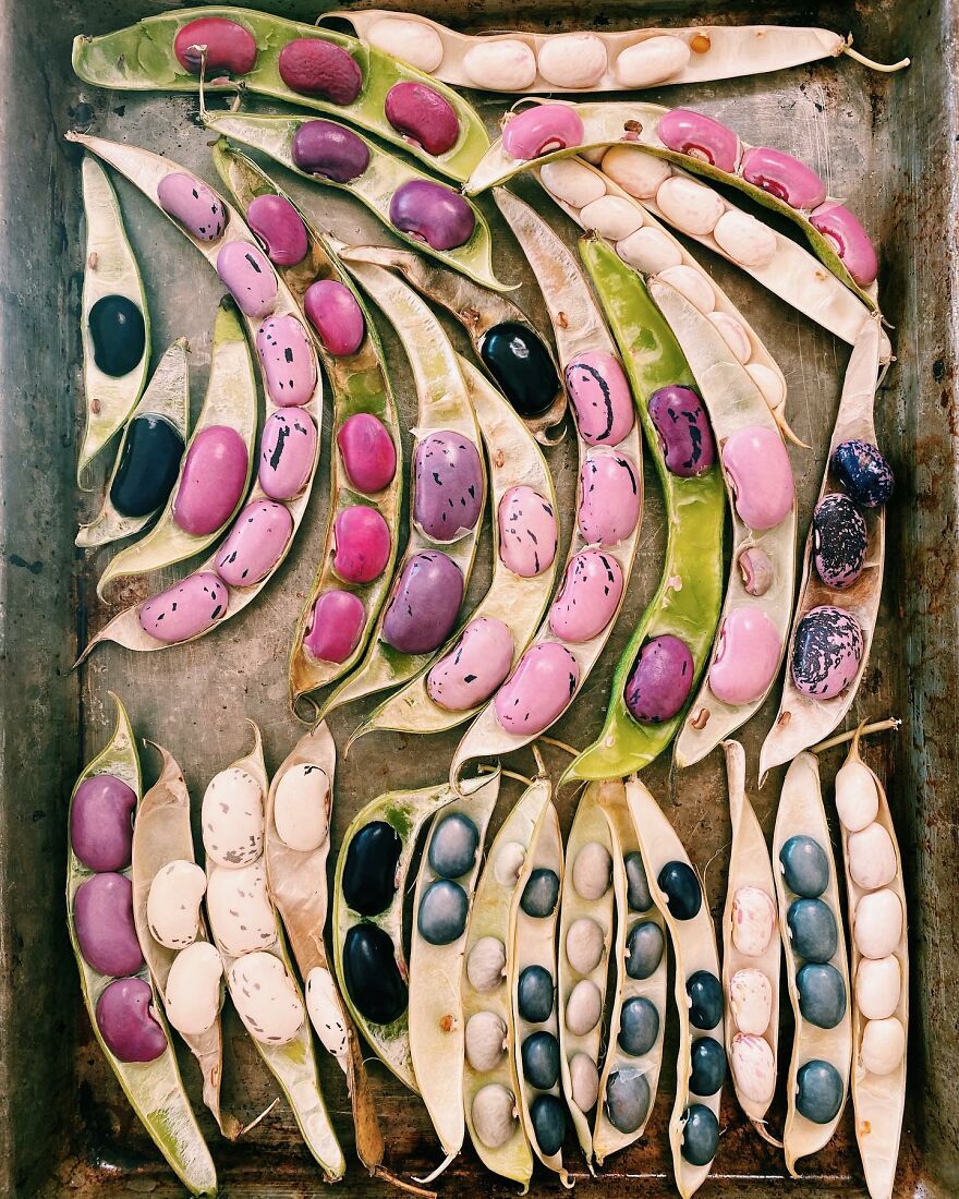 When Food Becomes Art: The Journey Of Photographer Brittany Wright (New Pics)