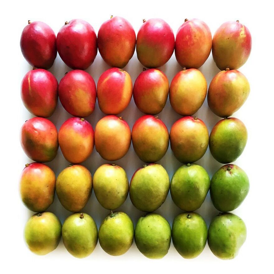 When Food Becomes Art: The Journey Of Photographer Brittany Wright (New Pics)