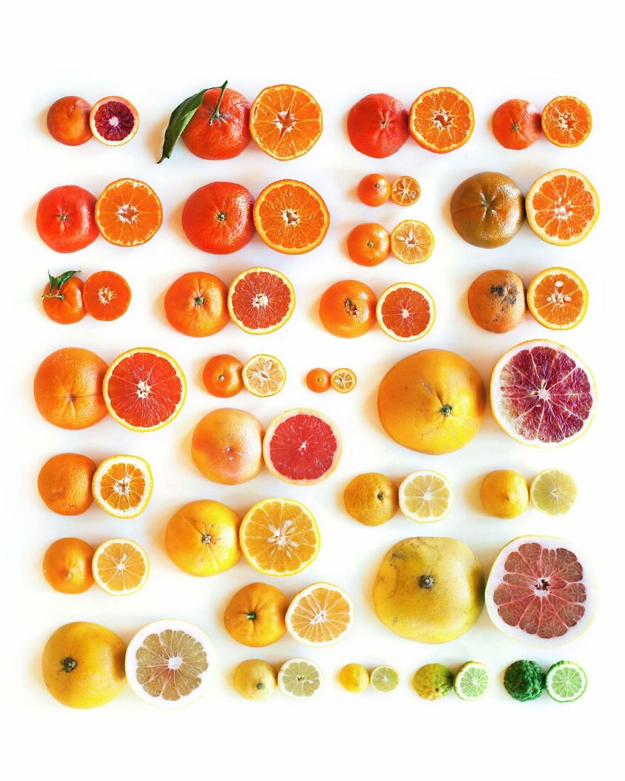 When Food Becomes Art: The Journey Of Photographer Brittany Wright (New Pics)