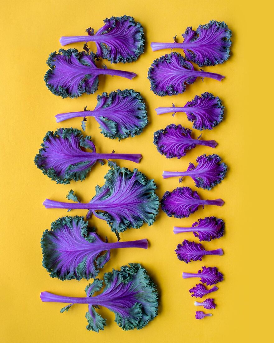 When Food Becomes Art: The Journey Of Photographer Brittany Wright (New Pics)