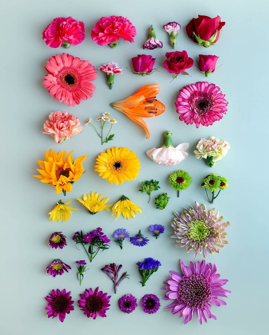 When Food Becomes Art: The Journey Of Photographer Brittany Wright (New Pics)