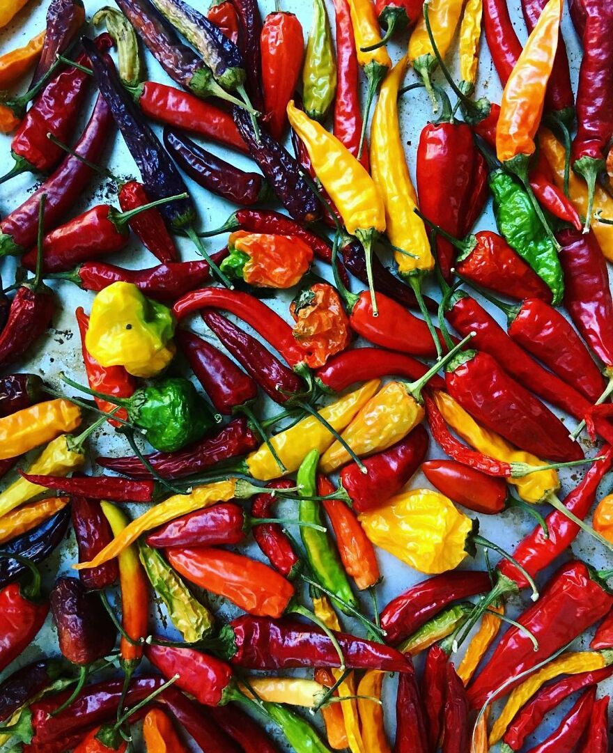 When Food Becomes Art: The Journey Of Photographer Brittany Wright (New Pics)